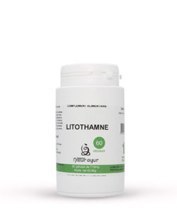 Litothamne