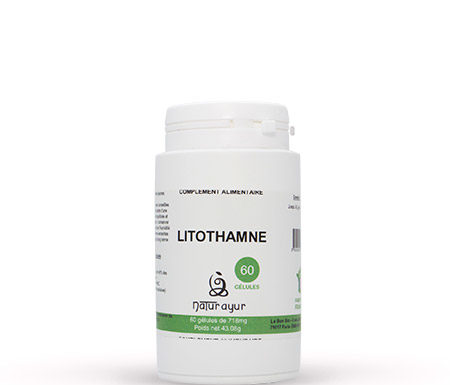 Litothamne