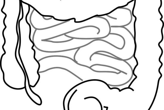 La flore intestinale: Tous ses secrets